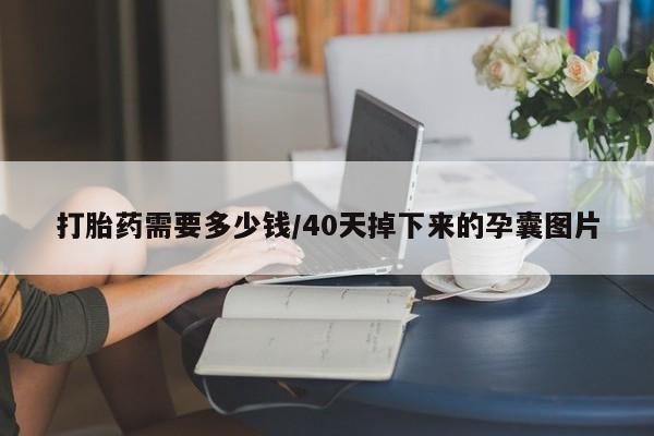 打胎药私人店微信打胎药需要多少钱/40天掉下来的孕囊图片